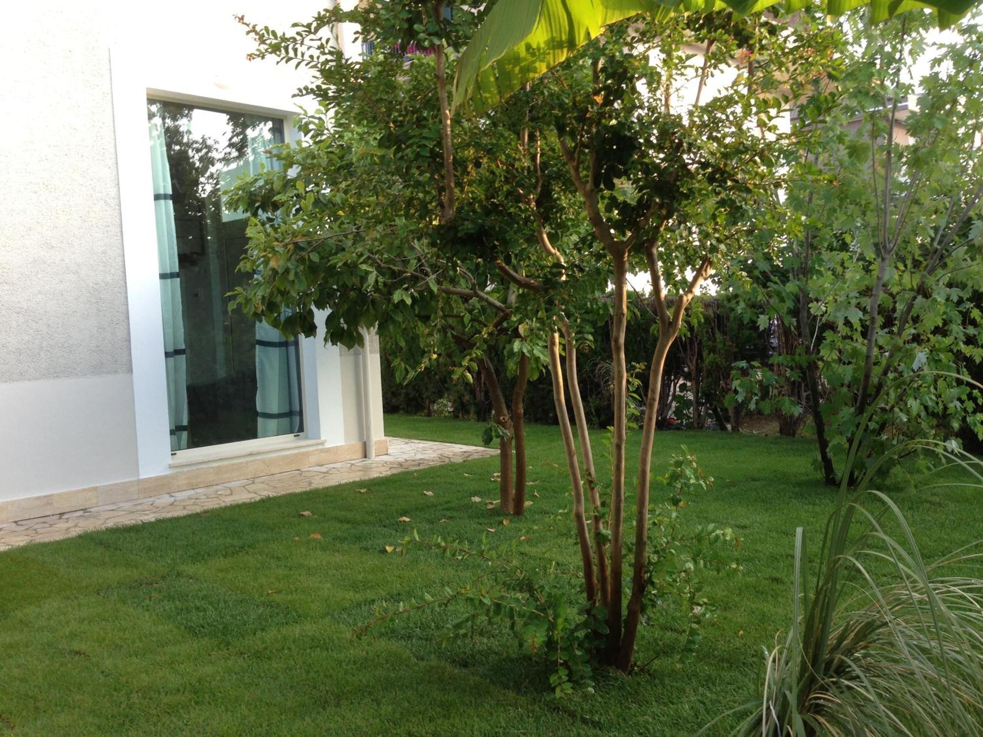 Loft 3, A 150 M Dal Mare, Pineto Centro Apartment Exterior photo